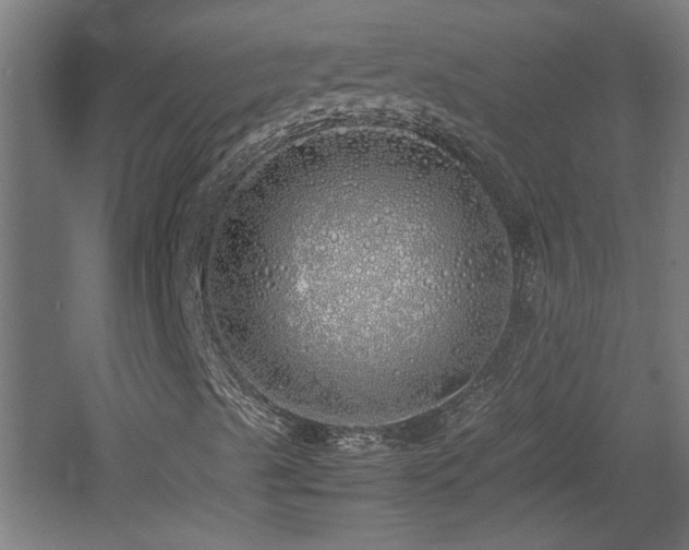 X0000060781489200511101326