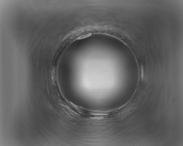 X0000060781492200511101326