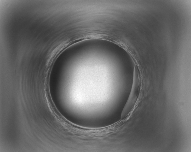 X0000060780001200511141429