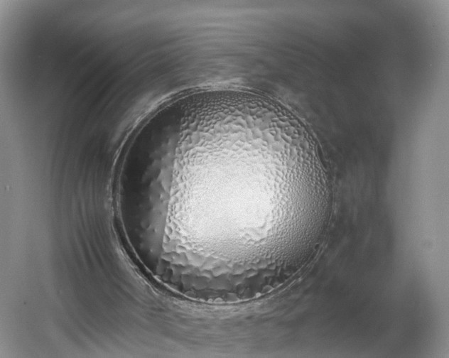 X0000060780002200511141429