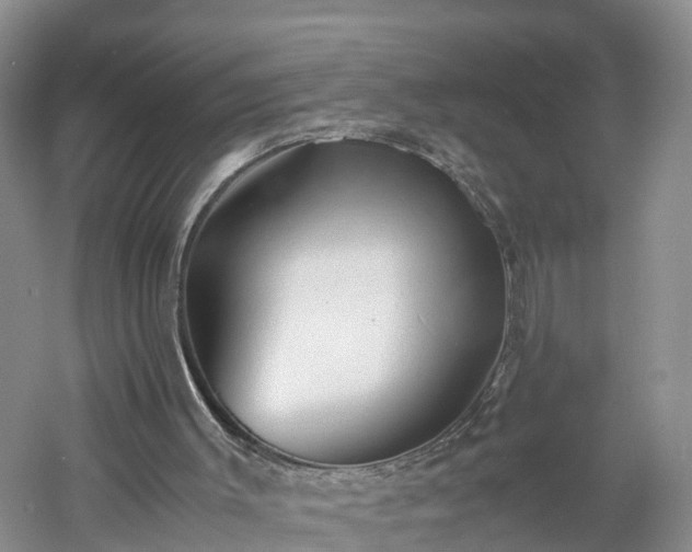 X0000060780003200511141429