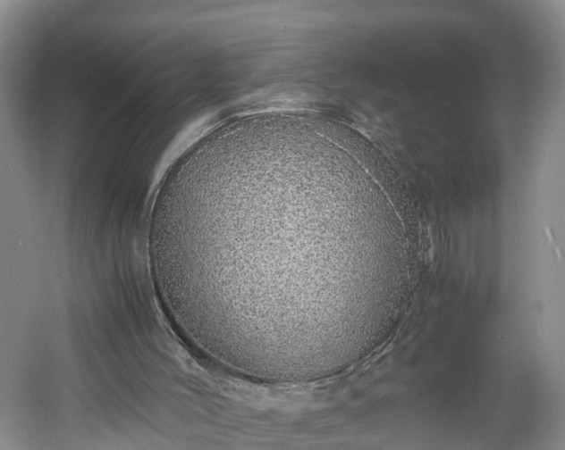 X0000060780004200511141429