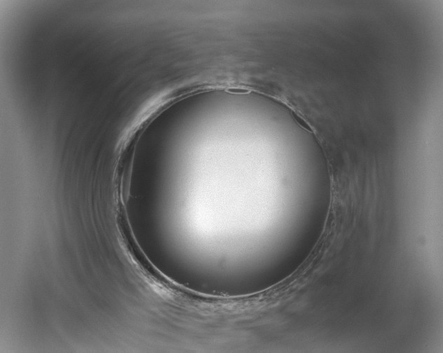 X0000060780005200511141429