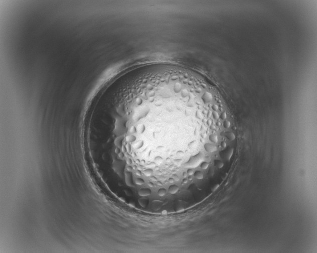 X0000060780006200511141429