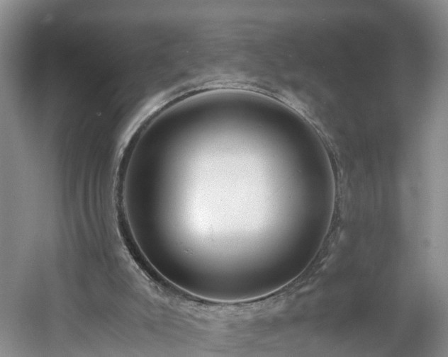 X0000060780007200511141429