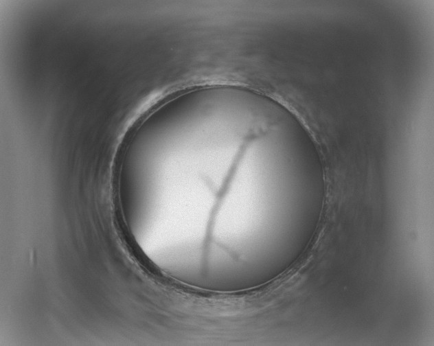 X0000060780008200511141429