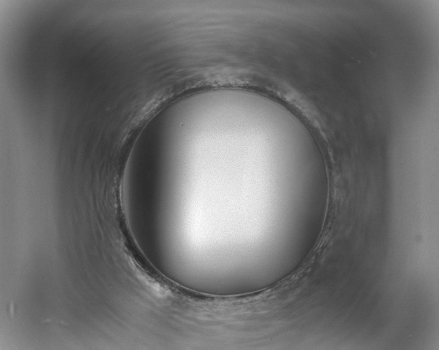 X0000060780009200511141429