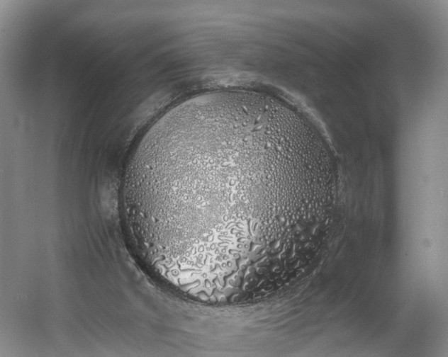 X0000060780010200511141429