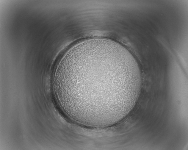 X0000060780012200511141429