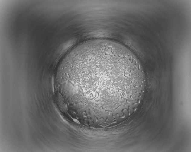 X0000060780014200511141429