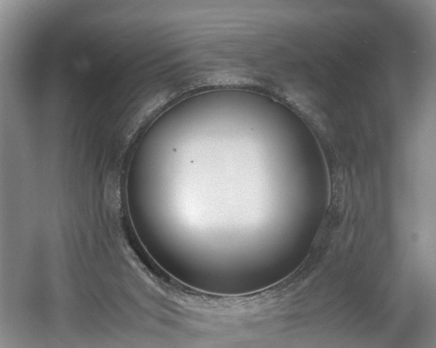 X0000060780015200511141429