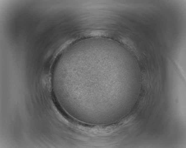 X0000060780016200511141429