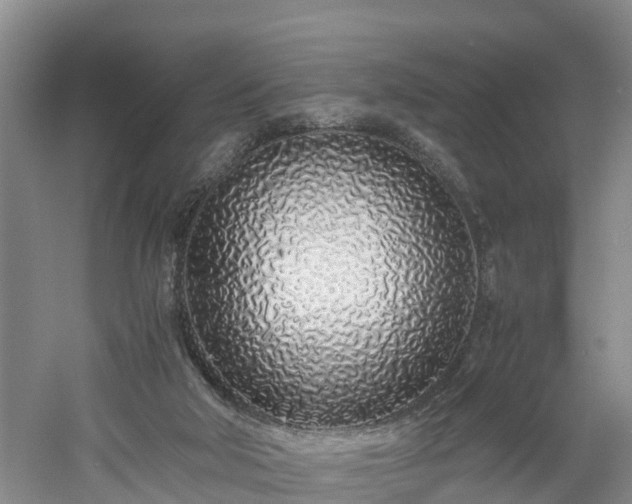 X0000060780018200511141429