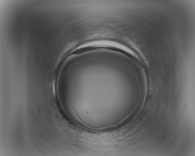 X0000060780019200511141429