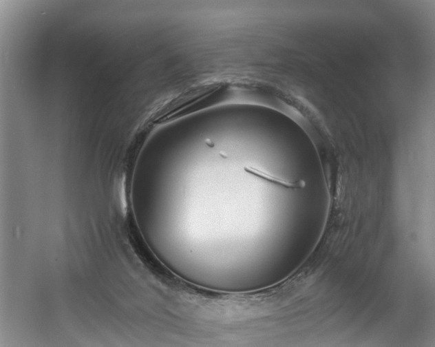 X0000060780020200511141429