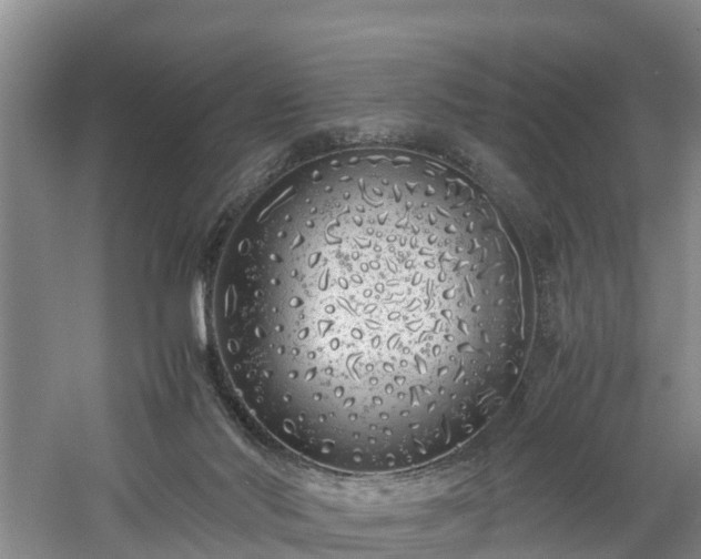 X0000060780022200511141429