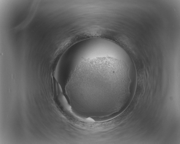 X0000060780023200511141429