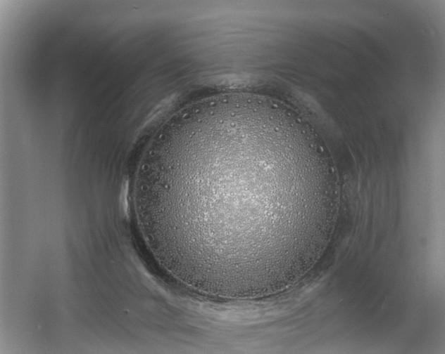 X0000060780024200511141429