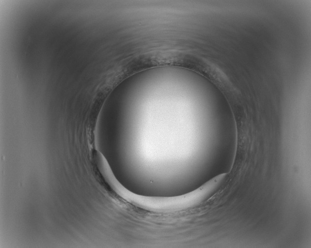 X0000060780025200511141429