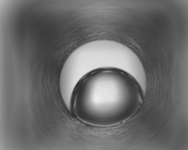 X0000060780029200511141429