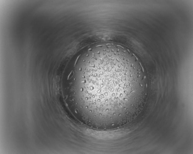 X0000060780030200511141429