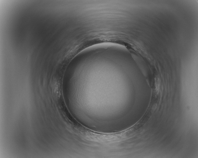 X0000060780031200511141429