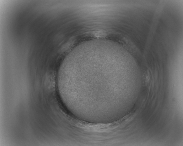 X0000060780032200511141429