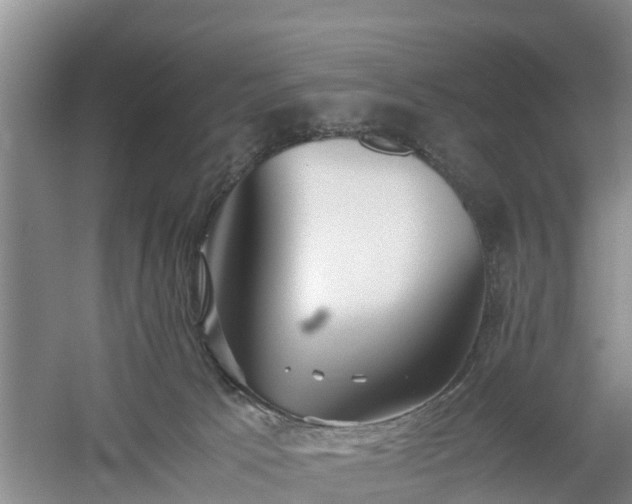 X0000060780033200511141429