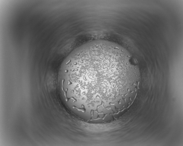 X0000060780034200511141429