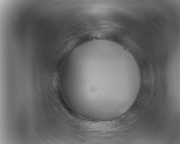 X0000060780036200511141429