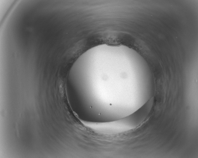 X0000060780037200511141429