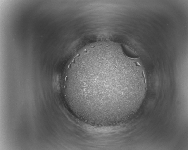 X0000060780038200511141429