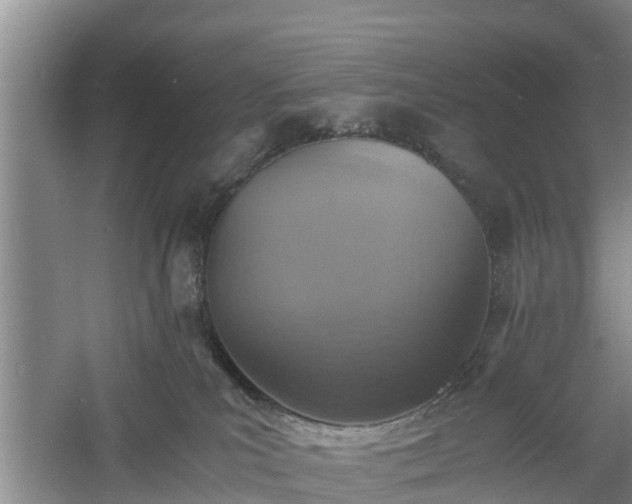 X0000060780039200511141429