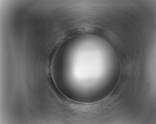 X0000060780040200511141429