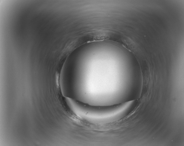 X0000060780041200511141429