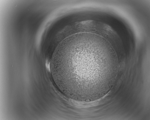 X0000060780047200511141429