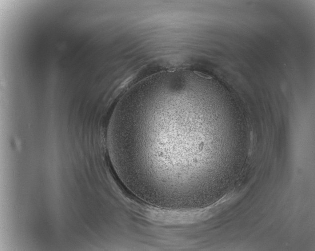 X0000060780048200511141429