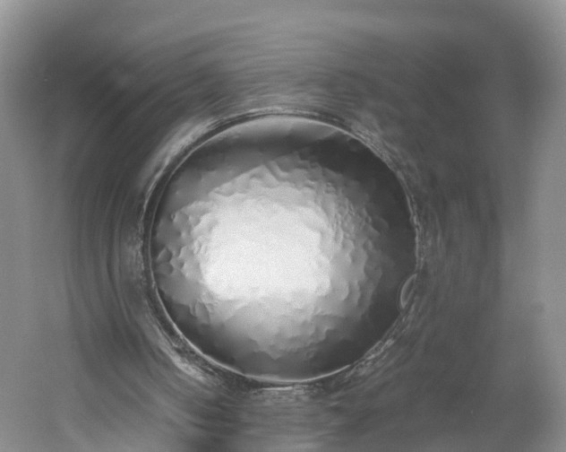 X0000060780050200511141428