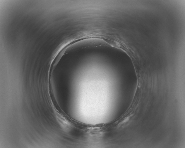 X0000060780052200511141428