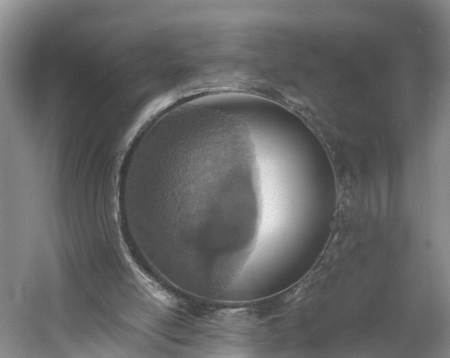 X0000060780054200511141428