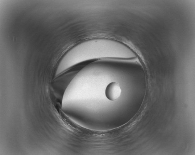 X0000060780057200511141428