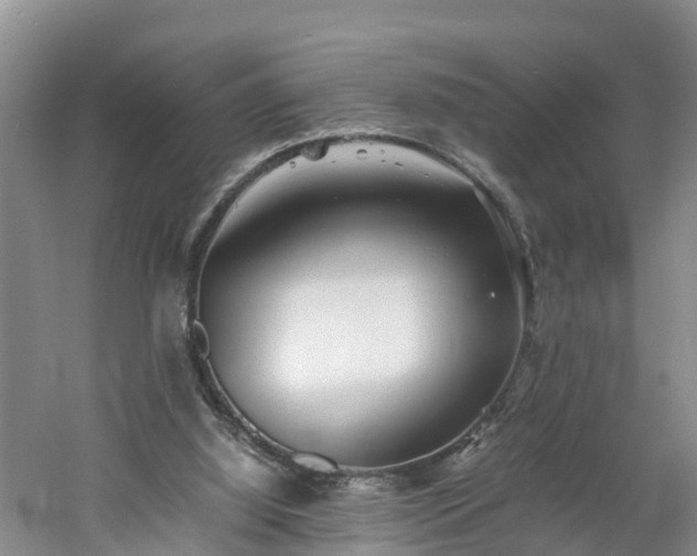 X0000060780060200511141428