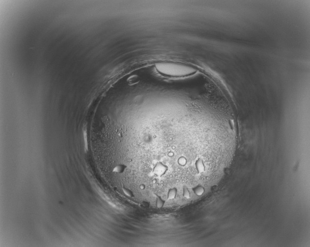 X0000060780061200511141428