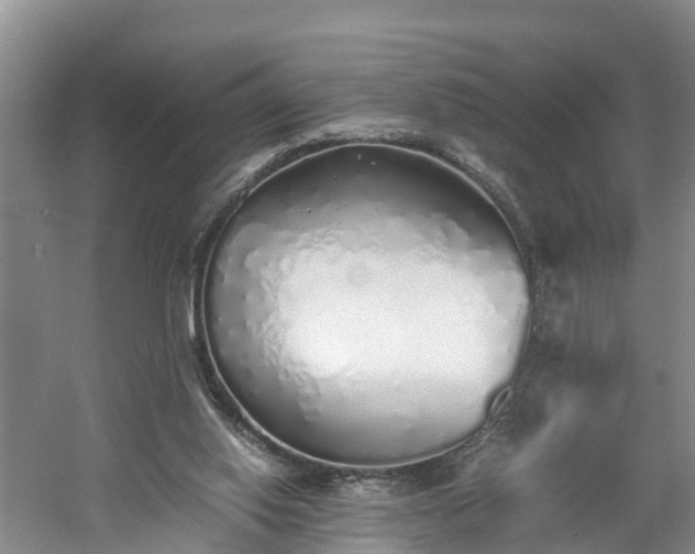 X0000060780062200511141428