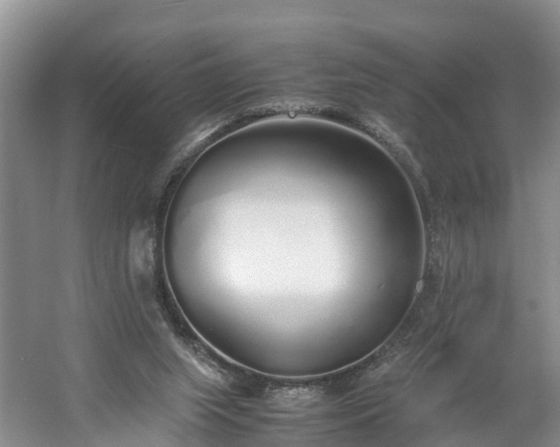 X0000060780063200511141428