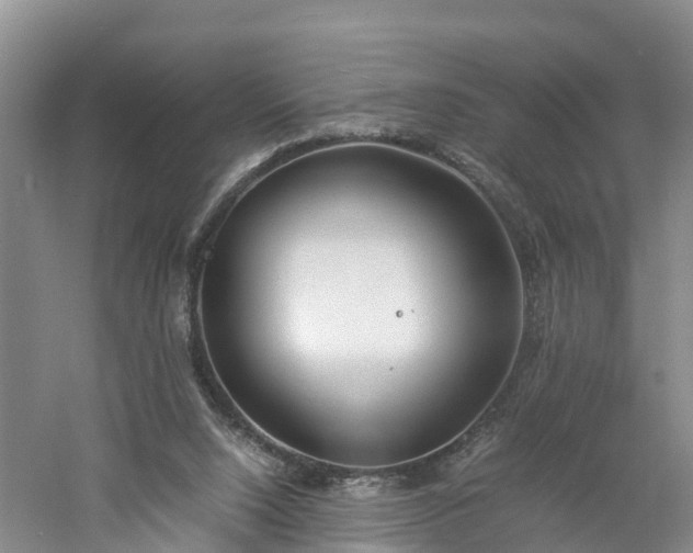 X0000060780064200511141428