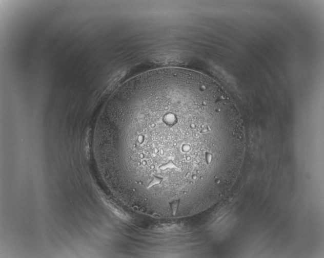 X0000060780065200511141428