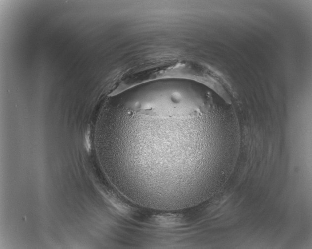 X0000060780069200511141428