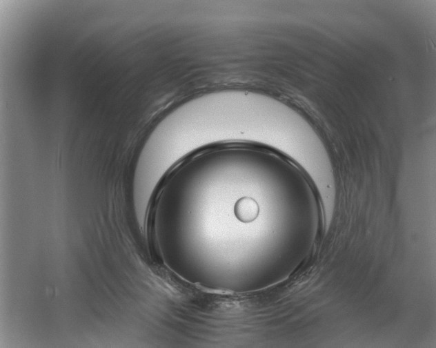 X0000060780071200511141428