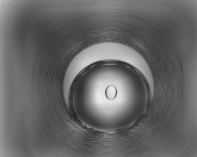 X0000060780077200511141428